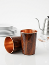 Avyukt Copper Glass (Meena Coated) (Set of 2) - Simple