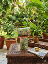 Avyukt Copper Glass (Meena Coated) (Set of 2) - Green