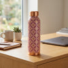 Avyukt Copper Bottle (3D Meena ) - Pink
